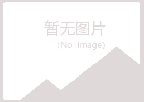 同心县夏日化学有限公司